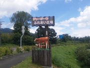 ponnkichĩW[W[q̓eʐ^2