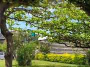 Ȃ̃ILiLE`NgE̓eʐ^1