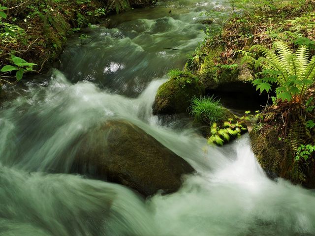 ����
_�{���𐻑��i���j����H��