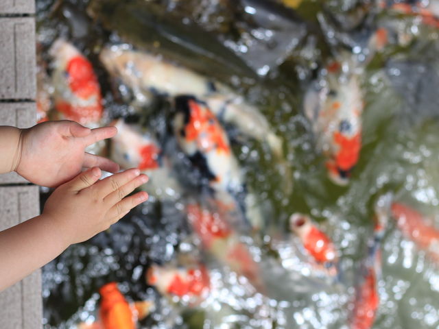 ���ǂ�������_�����ƌ�̋��L��