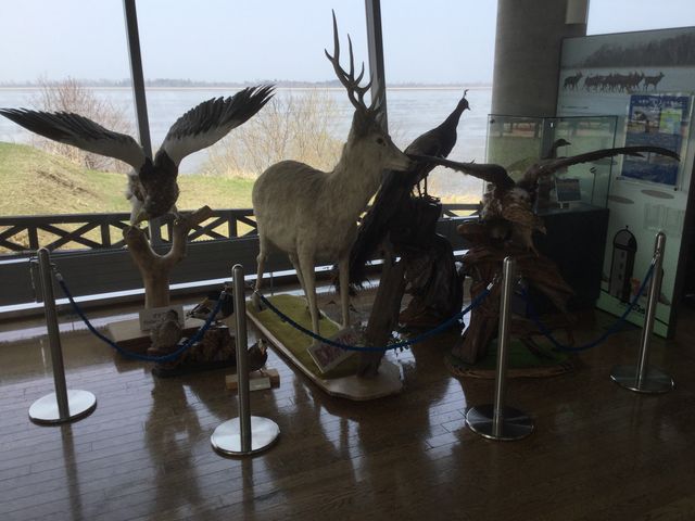 ���������̔�����W��_���̉w �X�����S�S�˂ނ�