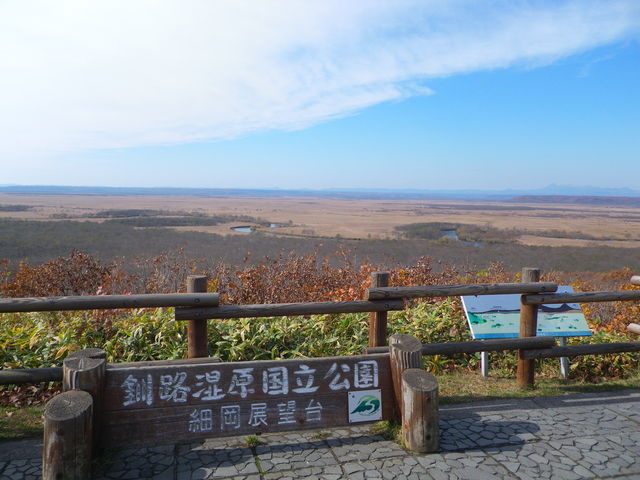 �T�l���炢���܂���_�׉��W�]��