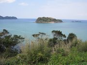 micky7777̃zLmR̓eʐ^1