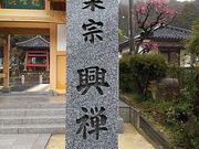 �T�[�x���^�C�K�[����̋��T���̓��e�ʐ^1