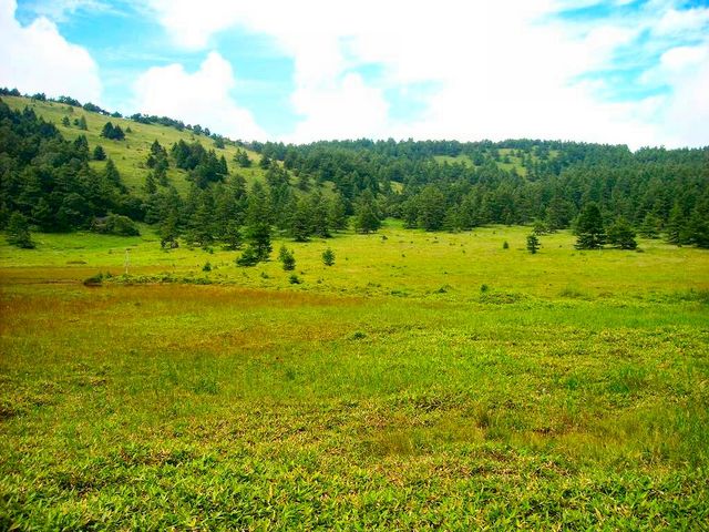 ̂̓̊ۍ(r̕)̃A̓eʐ^1