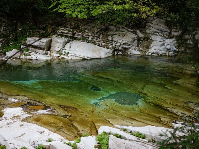 �k�J�𗬂�鐅�̓����x�͑f���炵�������ł��B_�ʉ͌k