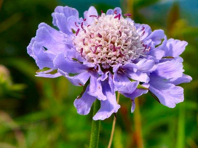 ̂̓̊ۍ(r̕)̃}cV\E̓eʐ^1