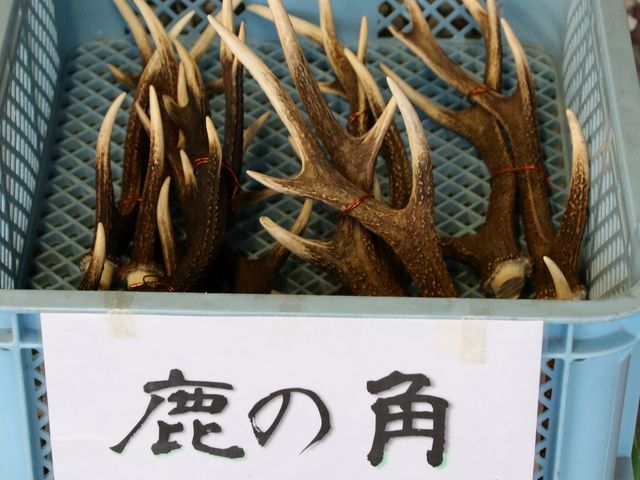 Ƃ񂳂̓̉w c̓eʐ^6