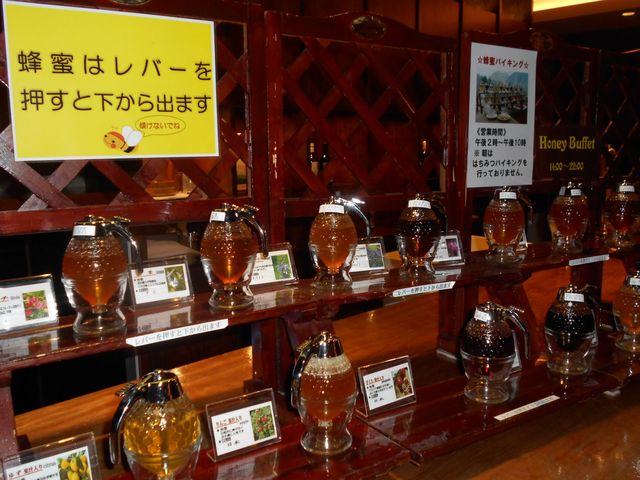 �͂��݂o�C�L���O_�͌��O�����h�z�e��