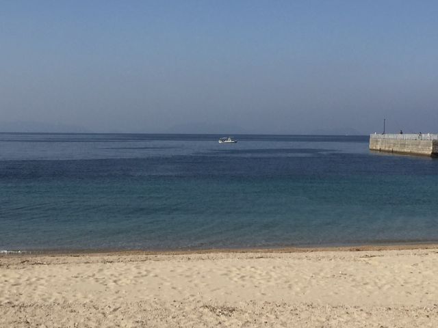 ���������Ă��g�Â�_�呁�ÊC������