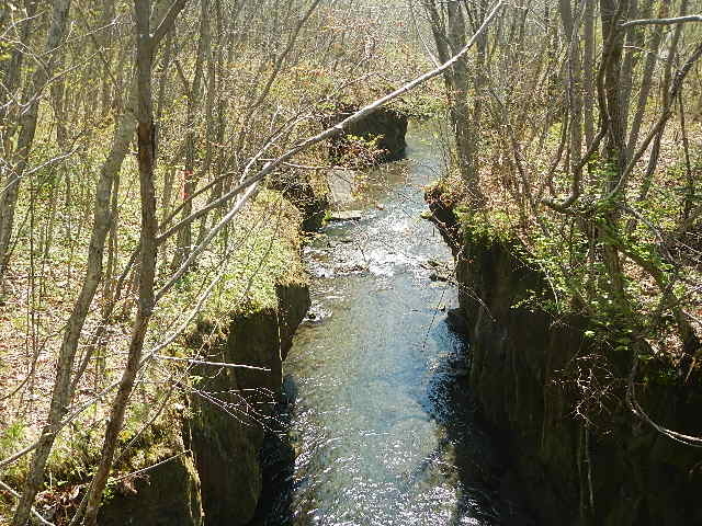 �M�O�K���[_�M�O�K���[