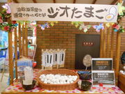 asuka̓ΖtzeCNTCheX̓eʐ^1