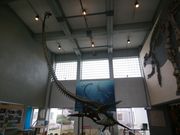 Munkhsaikhan̂ނ풬ʔق̓eʐ^1