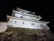 endatsu̘a̎R̍܂̓eʐ^4