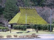 Ƃ񂳂̓ЎRNs̓eʐ^3