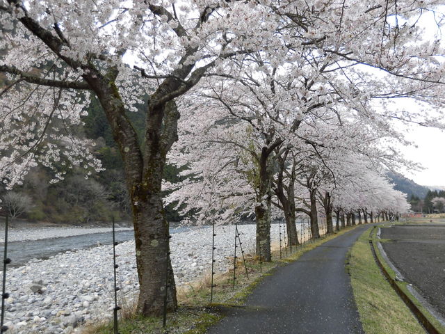 ςς΂ꂳ̋،kJ̓eʐ^1