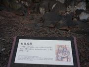 񂳂̍b{@ΐ؏Ղ̓eʐ^1