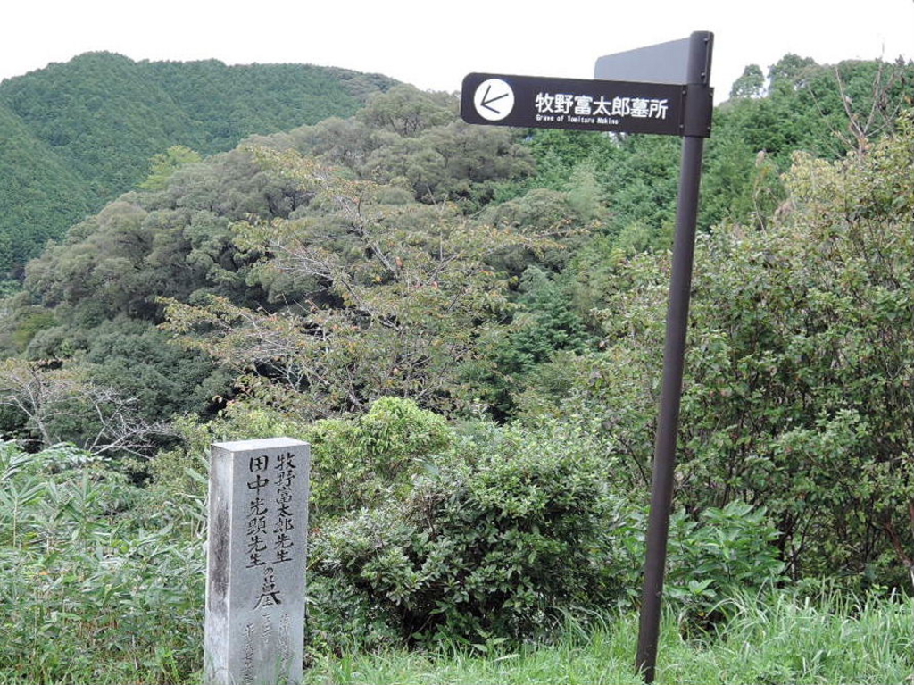 佐川町 高岡郡 の観光スポットランキングtop10 じゃらんnet