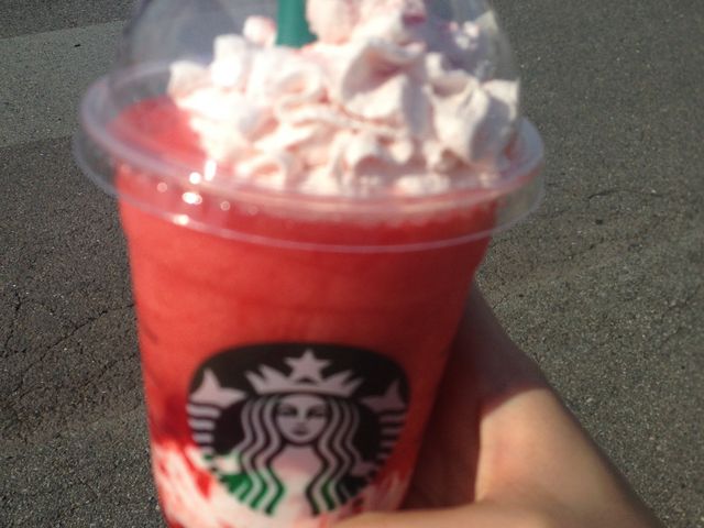 Xgx[_X^[obNXER[q[ vC^[K[fX