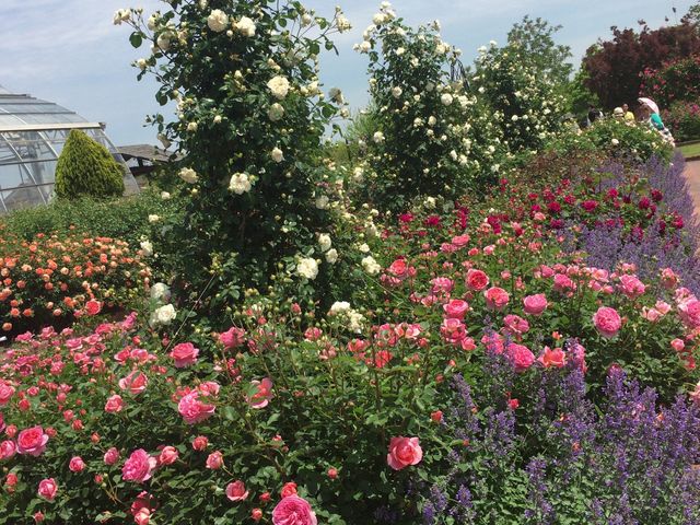 ����_�ƌ����x���t�@�[��