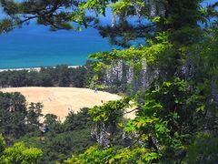 ܏\OK̑K`Guiʕvւ̓eʐ^1