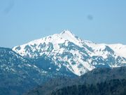 w-masa����̊}�P�x�̓��e�ʐ^1