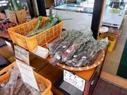 w-masãOp[Nǂ̓eʐ^2