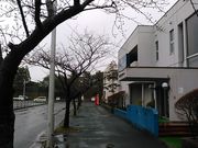 L^J̔\sΘJNz[̓eʐ^2