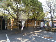 񂳂̓̉w Fڂ̓eʐ^2