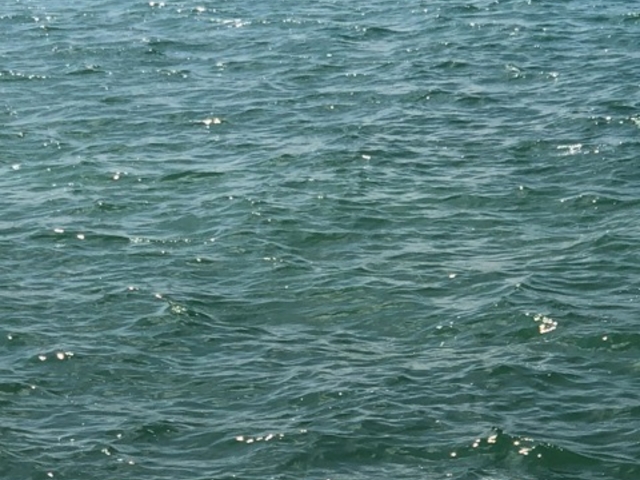 �L���C_���ۊC��