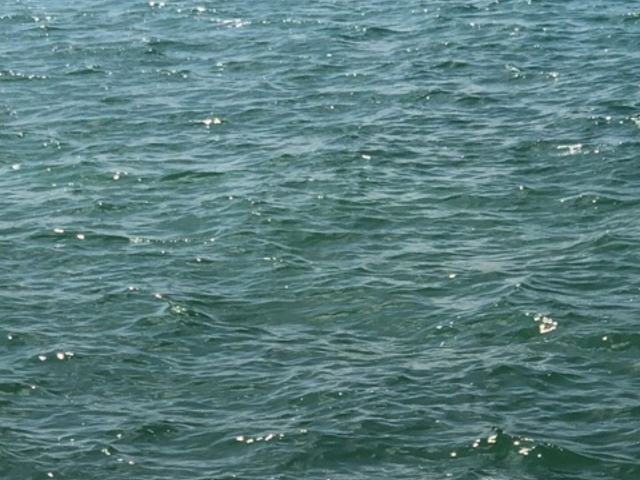 �C_��n�C������