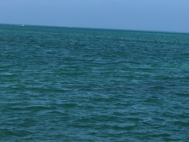 �C_���Ԑ�V��