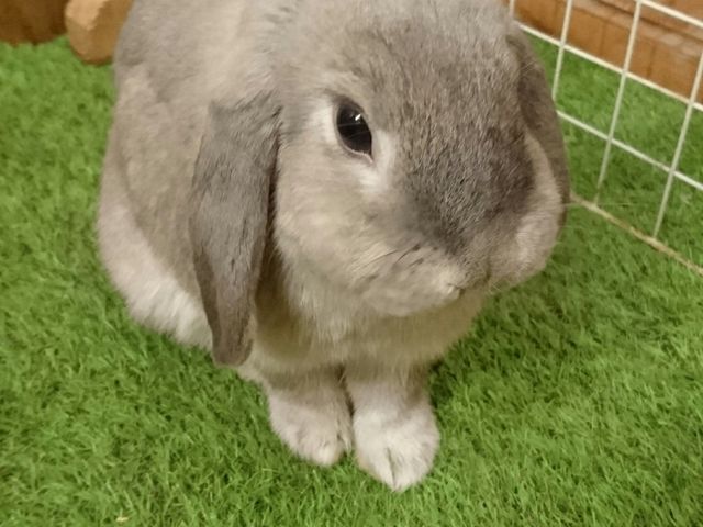 GꍇXy[Xɂ邤łB_JtF@ӂ