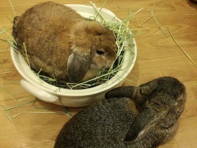 GꍇXy[Xɂ邤łB_JtF@ӂ