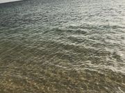 ҁ[̂̃CM[}K[f̓eʐ^1