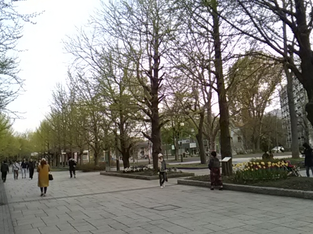 ���������w���̓����_��������