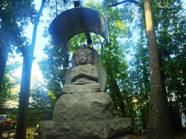 ݂ǂ肳̍O@R@ՏƉ@̓eʐ^5