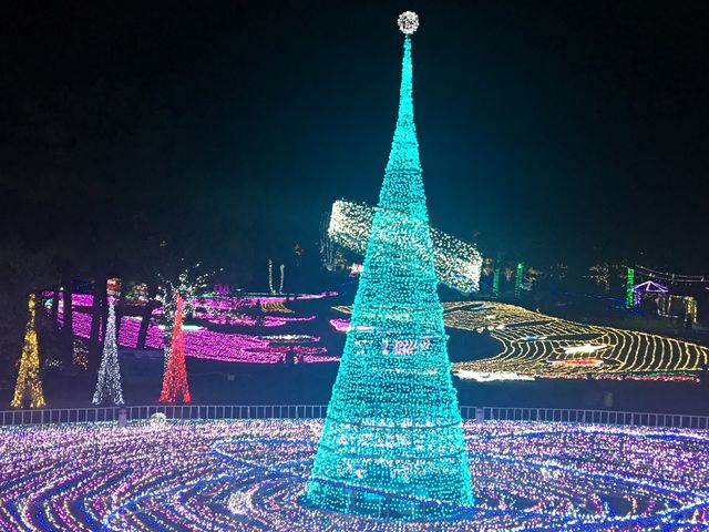 2018 illustration _�t���[�����e�{��