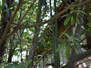 boshi̋䏬wZZɂ̓eʐ^3