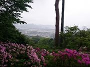 񂿂񂳂̐{bMR̓eʐ^1