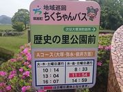 񂿂񂳂̑ȋM_Ђ̓eʐ^1