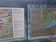 񂿂񂳂̖؂̊ی̓eʐ^1