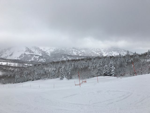 �L����_�L�����X�m�[���[���h