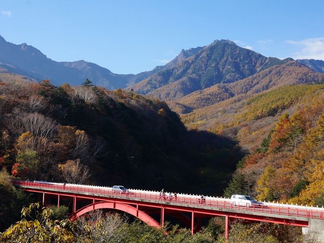 八ヶ岳中央高原の紅葉 アクセス 営業時間 料金情報 じゃらんnet