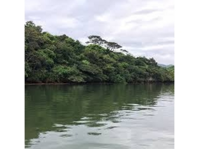 ���i����̒��Ԑ�V�R�ی���̓��e�ʐ^1