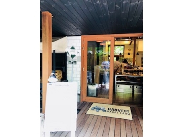 ���̖؍H�̂��X�̃~�j�`���A�ɂ����Ƃ�A���܂ł����Ă����������B_�y��򐯖�G���A�@�n���j���e���X