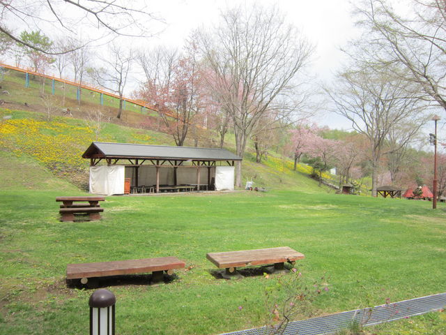 bippô݂ǂ̑Lv̓eʐ^1