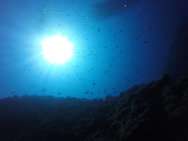 ʂC猩鑾z͔܂II__CubN