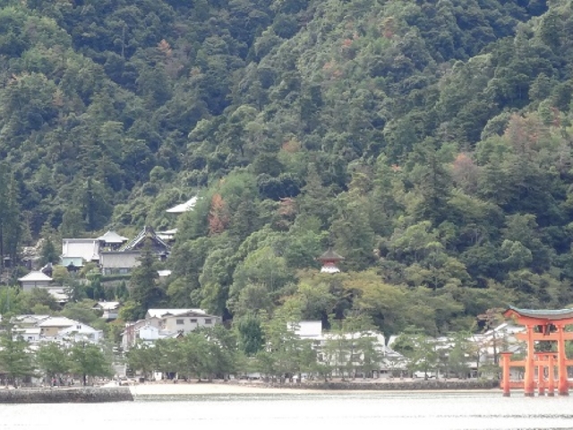 ��R�̓o�R���ɂ���吹�@�Ƒ咹��_�吹�@