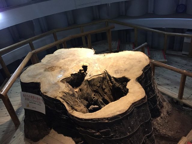 �O�r���������v�ь���_����דꕶ�̐X�~���[�W�A���i�O�r���������v�ь���